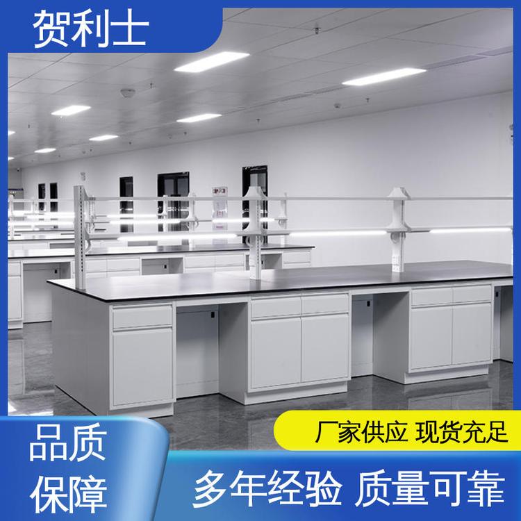 匠心优选 多年经验 耐高温 科研院校制药 全钢实验台 贺利士