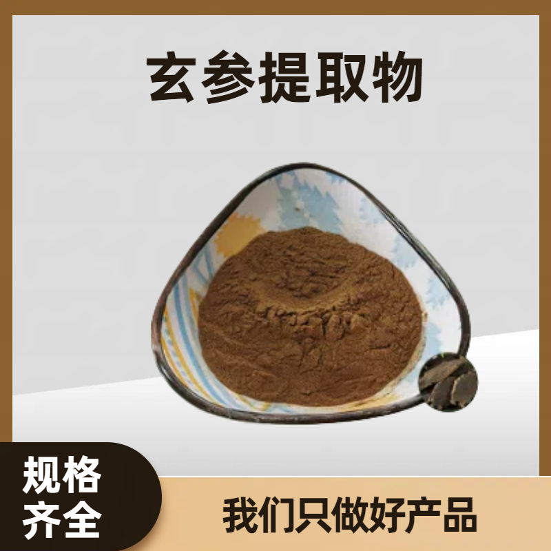 玄参提取物 玄参甙 植物提取元参 水溶性好10:1 可定制规格