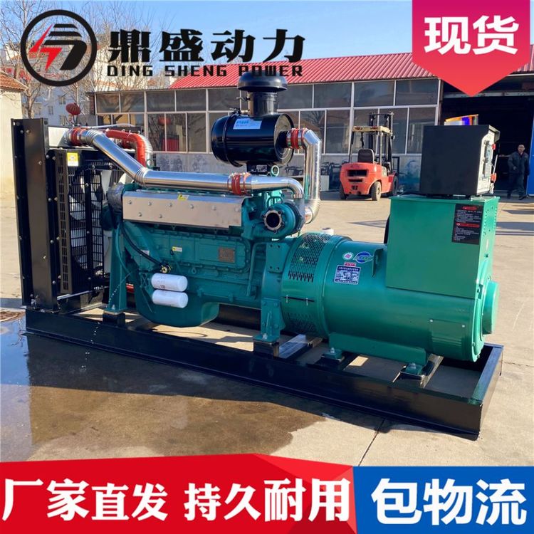 鼎盛200千瓦发电机组工厂企业发电备用应急200kw发电机斯太尔厂家