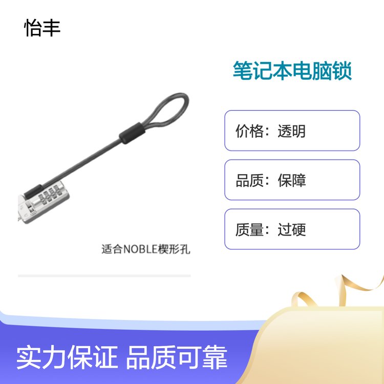 怡丰锁业 笔记本电脑锁 源头厂家 充足货源 专业保障