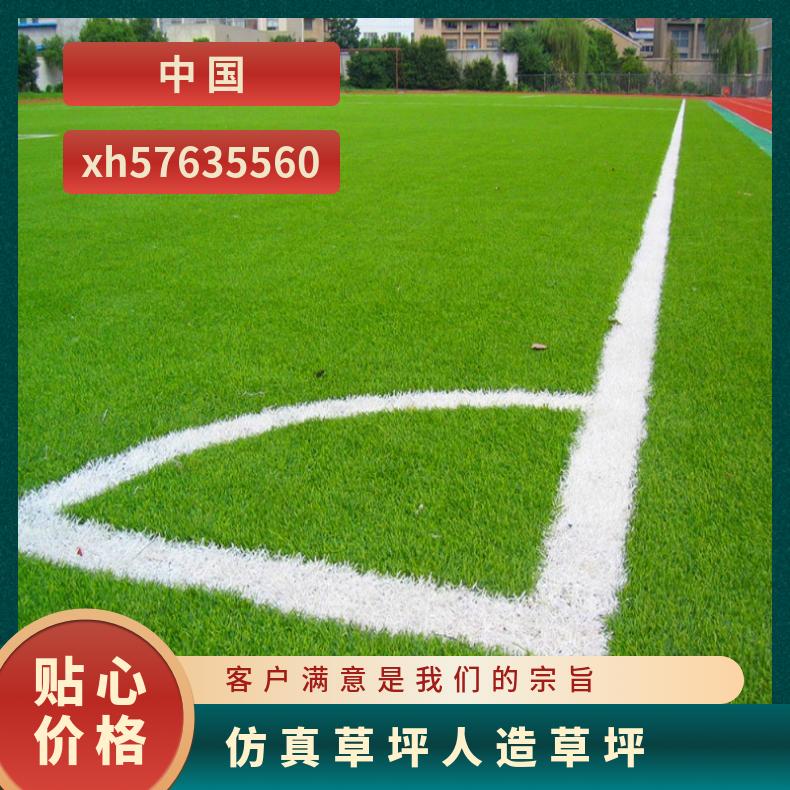 桑丽Sunli人造草坪学校操场 游乐场高强度材料 耐高温实力商家
