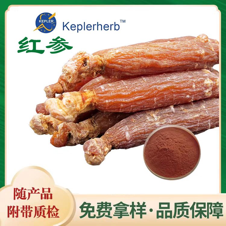 红参提取物 红参皂苷5%-20% 红参浓缩粉 可定制生产