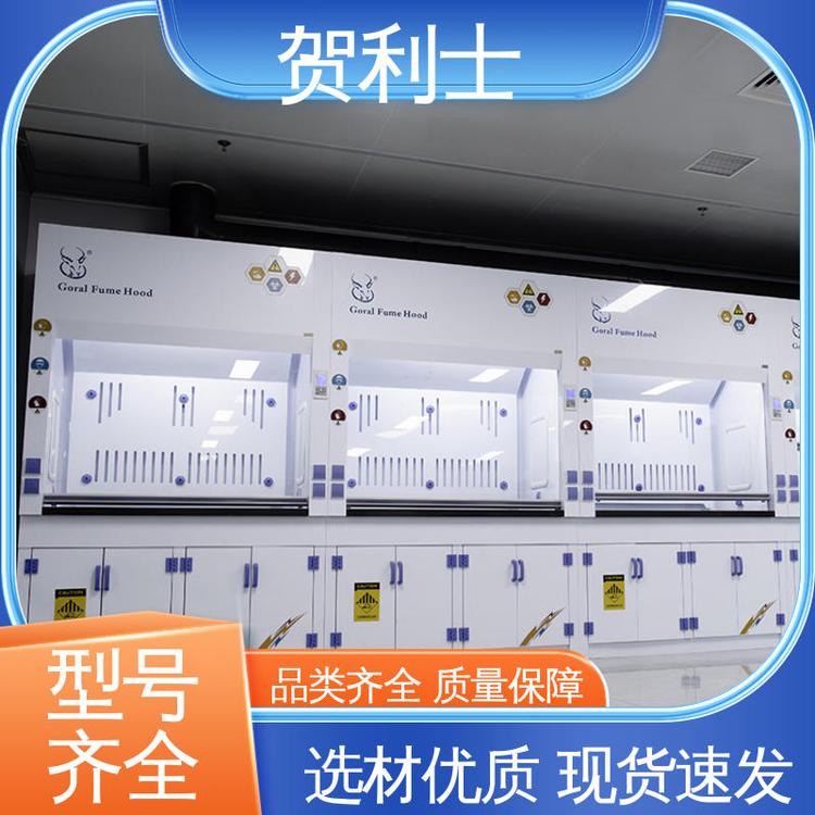 实验室通风柜 耐高温 结构牢固可靠 品类齐全 质量保障 贺利士