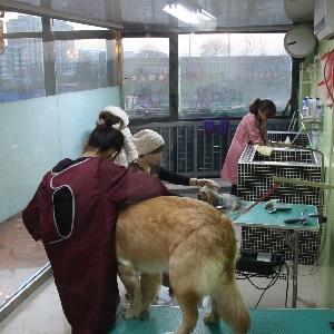 宠旺动物医院