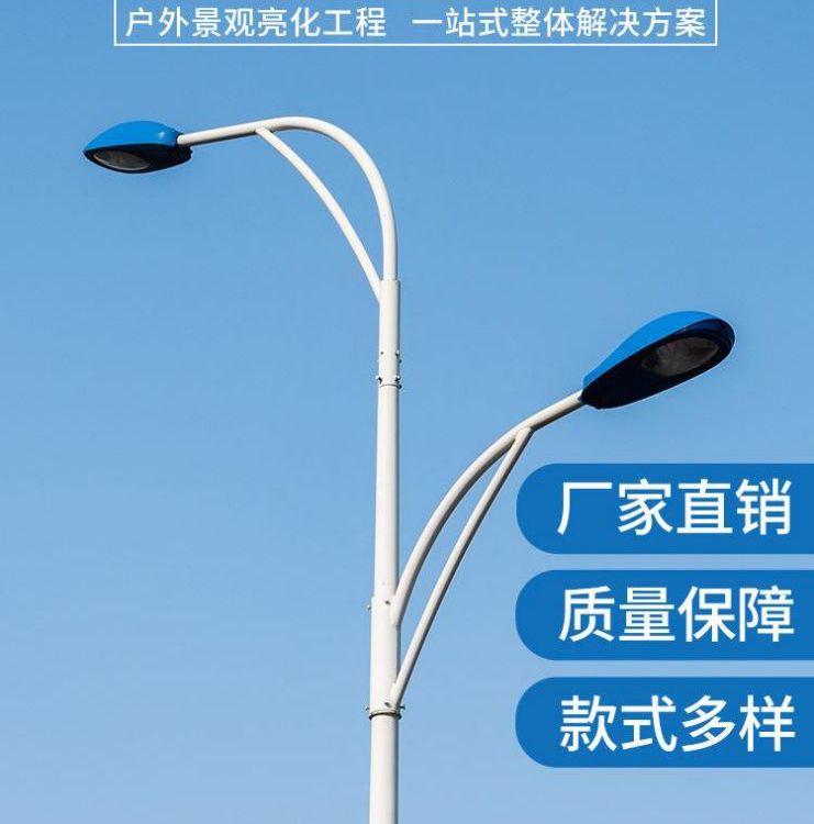 路灯生产厂家 大功率市电LED强光灯定制6米8米10米市政道路照明灯