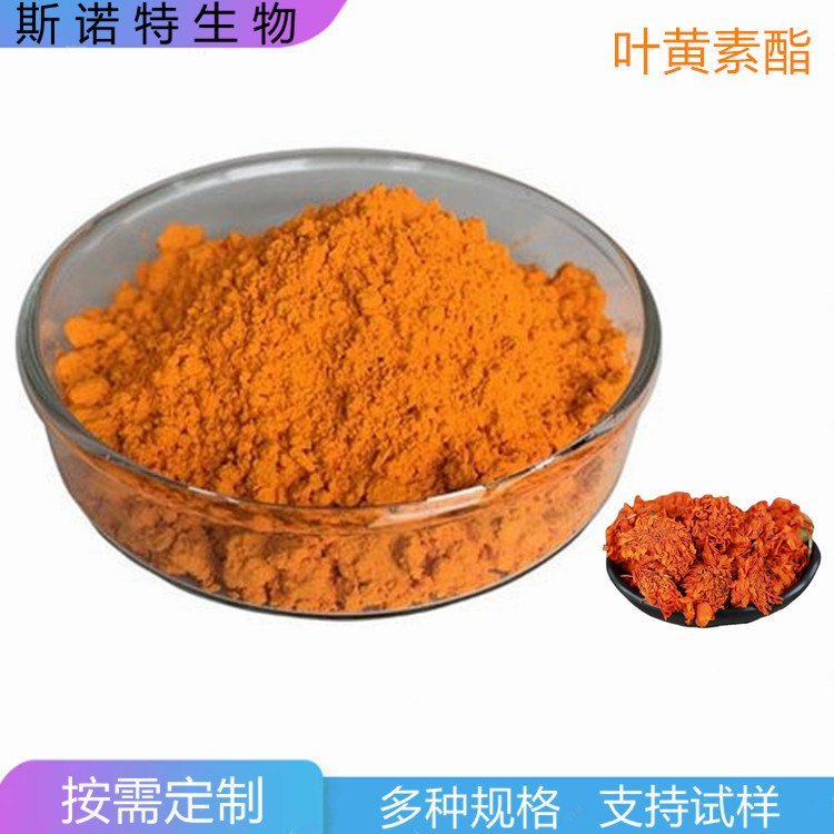 叶黄素酯 脂溶或水溶 多规格可选 精细粉末 斯诺特生物