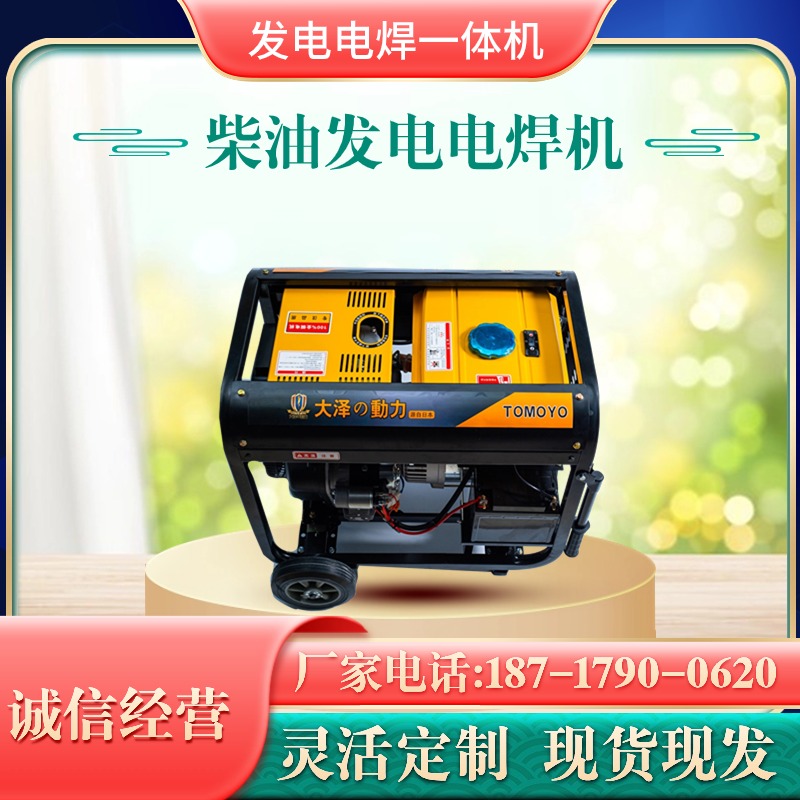 大泽动力 280A柴油发电电焊机 手推式 户外焊接 TO280A-Z
