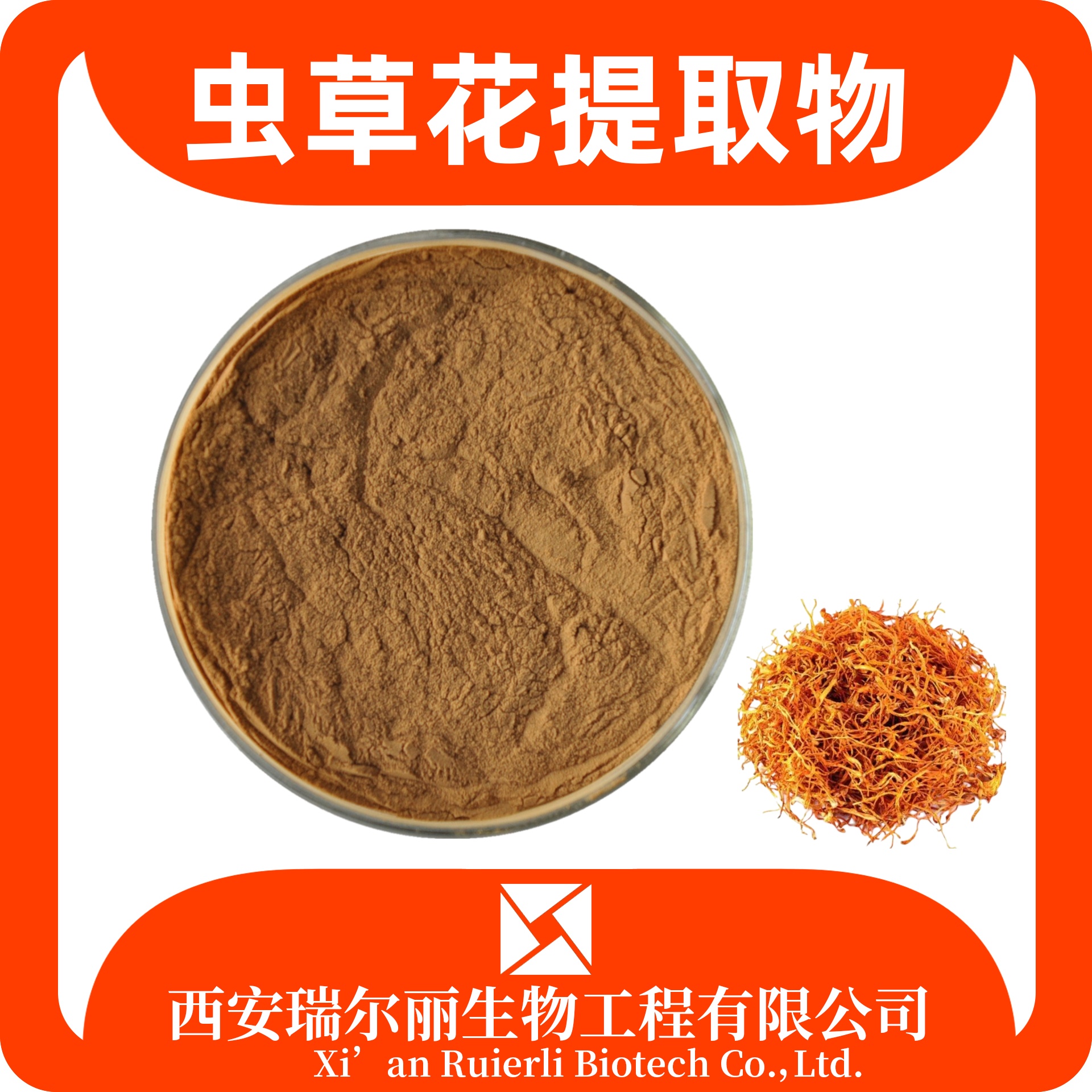 虫草花提取物 水溶虫草花粉 速溶浓缩粉 食品级 SC证瑞尔丽生物