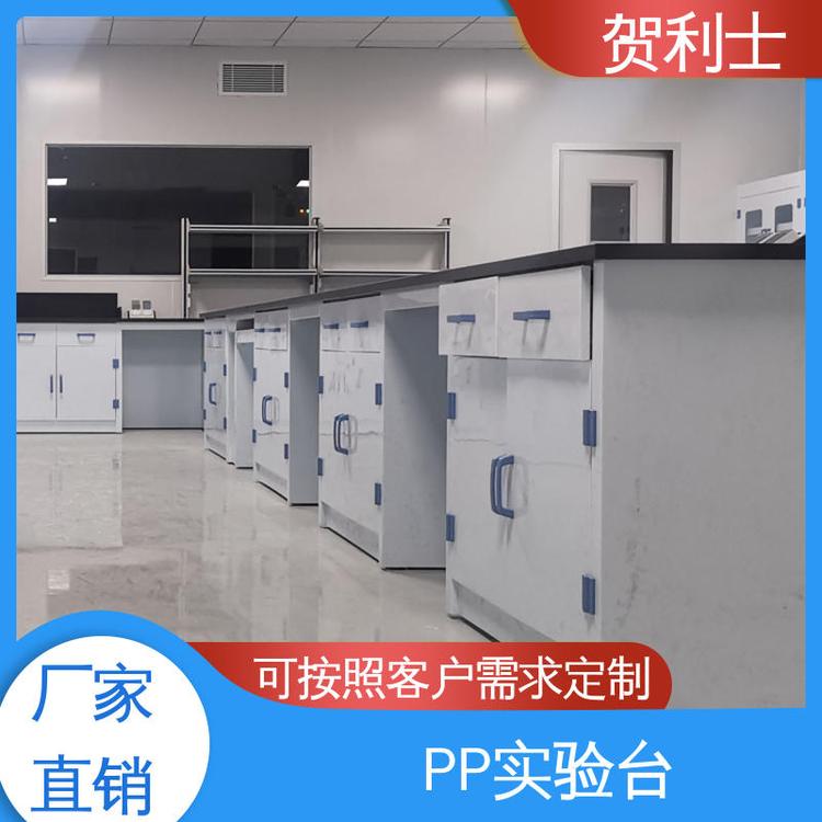 科研机构用 PP实验台柜 化工厂实验室边台 按需定制加工 贺利士