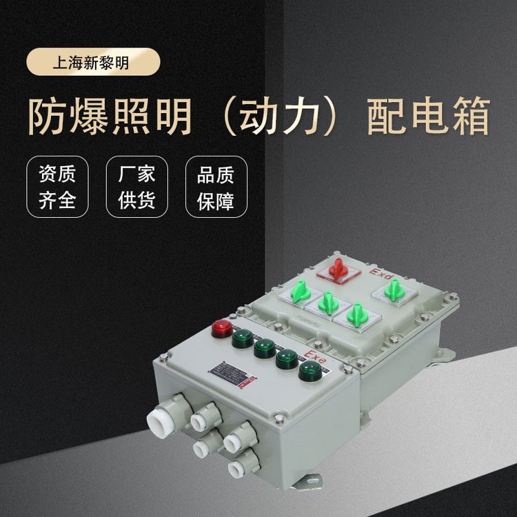 防爆配电箱 BT4控制柜变频器 三防304不锈钢触摸屏按钮箱
