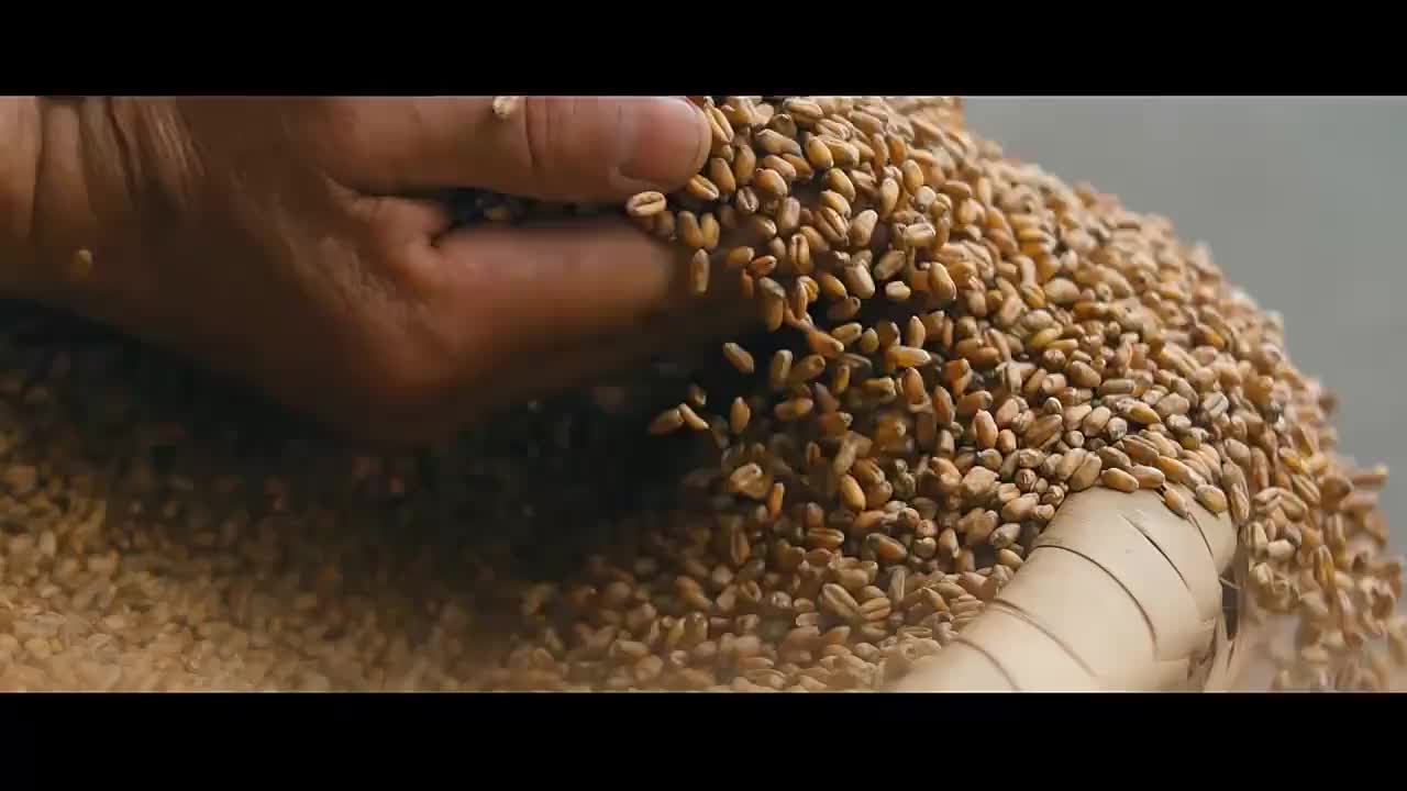 视频