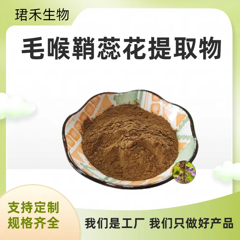 毛喉鞘蕊花提取物 含弗斯可林 毛蕊花浸膏粉 水溶性粉末 多规格可定制