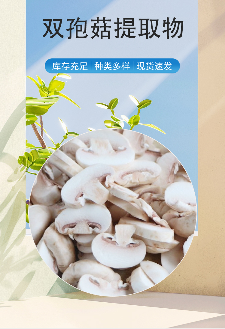 双孢菇提取物 10:1浓缩粉 水溶棕黄色粉末食品原料 1公斤起订