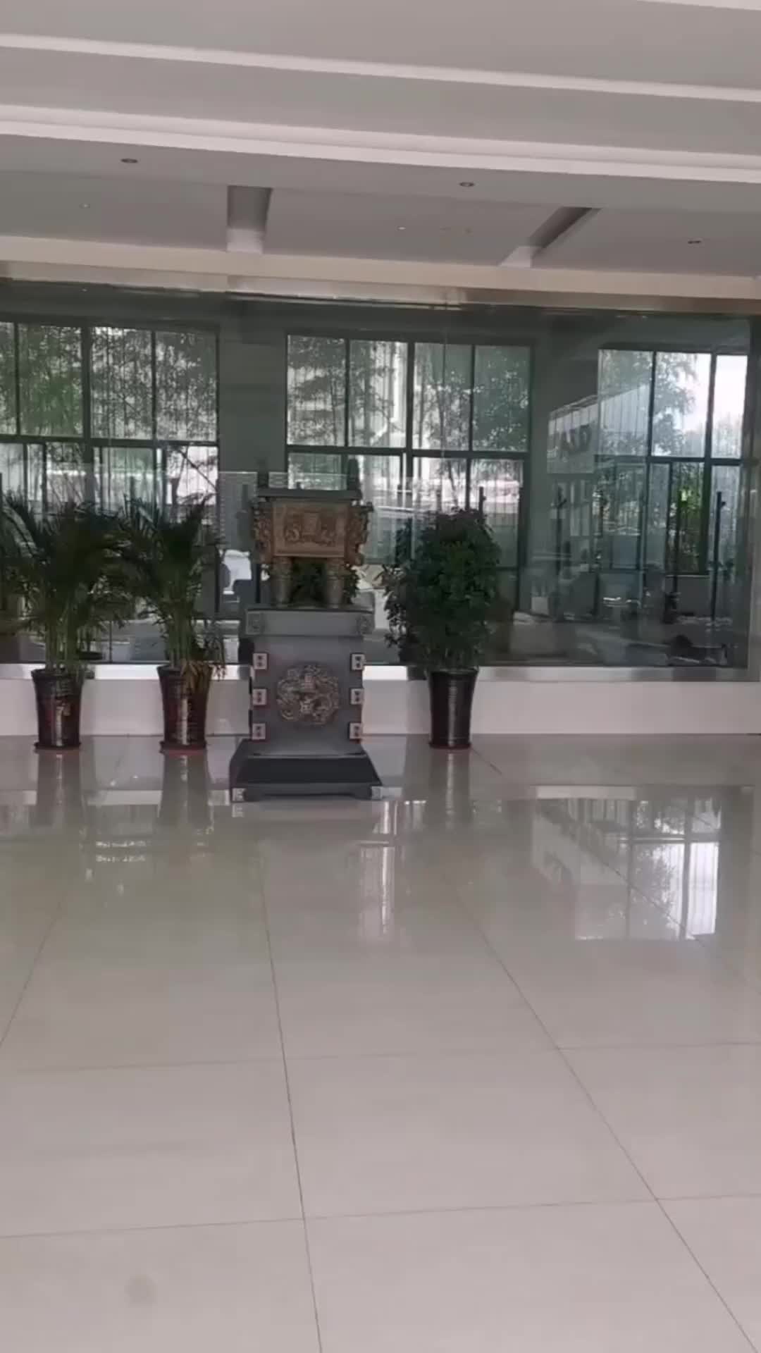 视频
