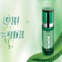 木立芦荟
