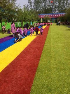 定制安装幼儿园人造草坪 环保可靠运动场馆休闲庭院屋顶花草坪