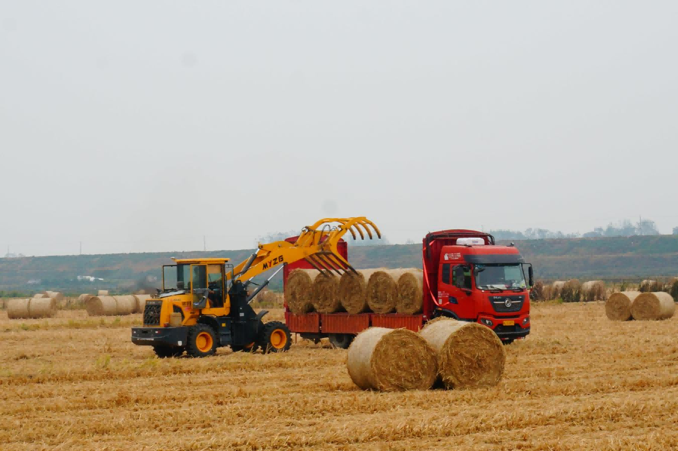 My country has huge biomass energy resources