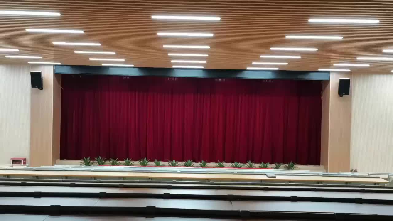 视频