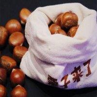 栗子来了