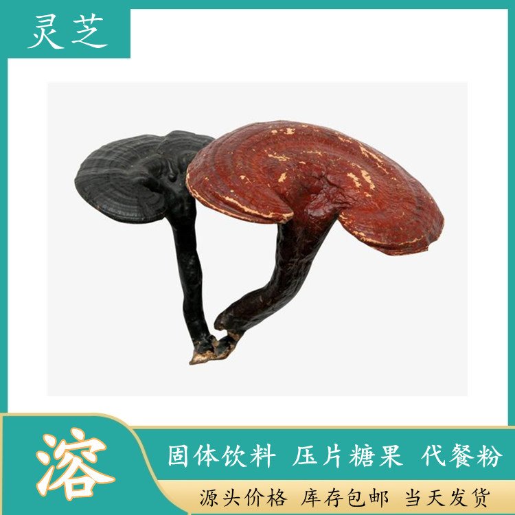 灵芝多糖 斯诺特生物拆包定制 纸板桶包邮 随货附检测报告