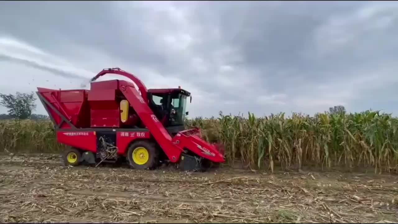 视频