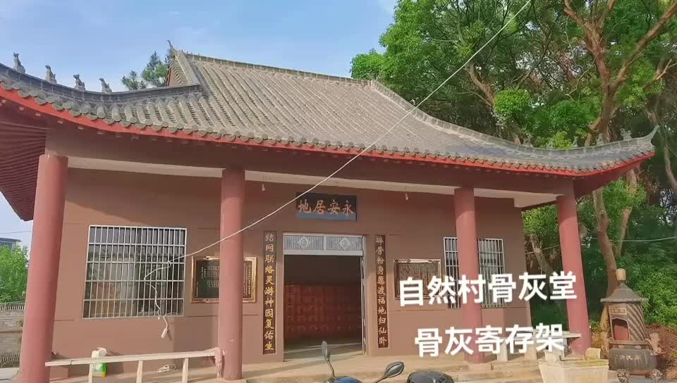 视频