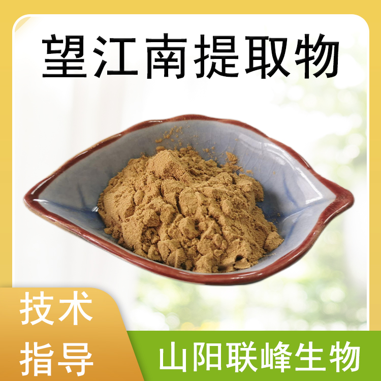 望江南提取物 10：1望江南粉 水溶干燥萃取 食品级 1公斤/包