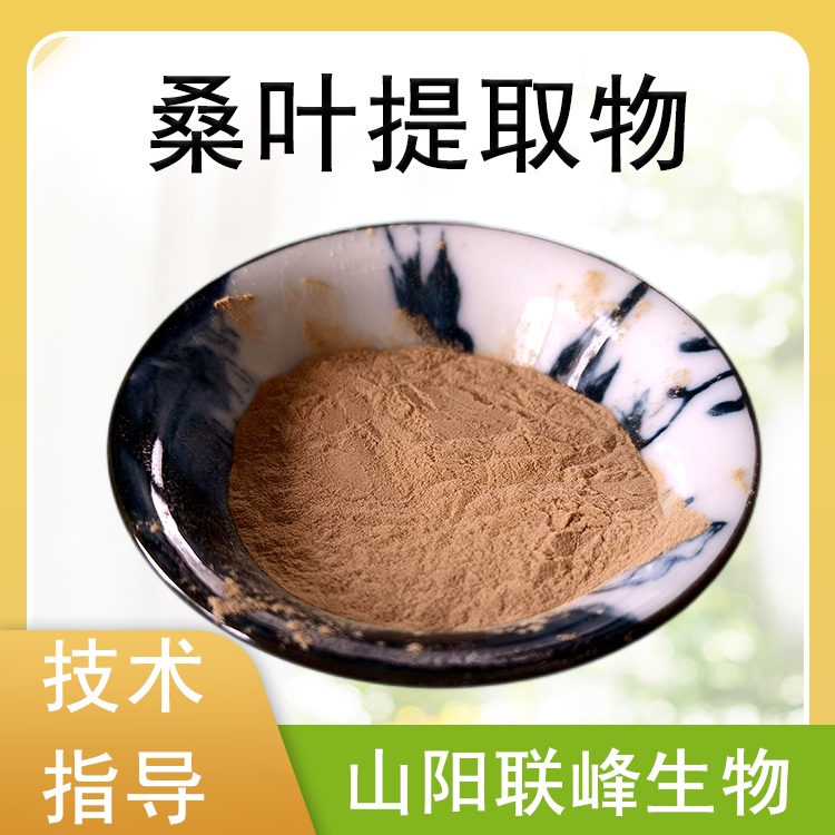 桑叶提取物 10：1水溶浓缩浸膏粉 植物萃取 食品原料1公斤起订