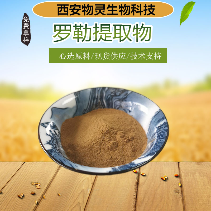 罗勒提取物 10:1水溶罗勒粉 食品级原料 植物萃取 多种规格 喷雾干燥