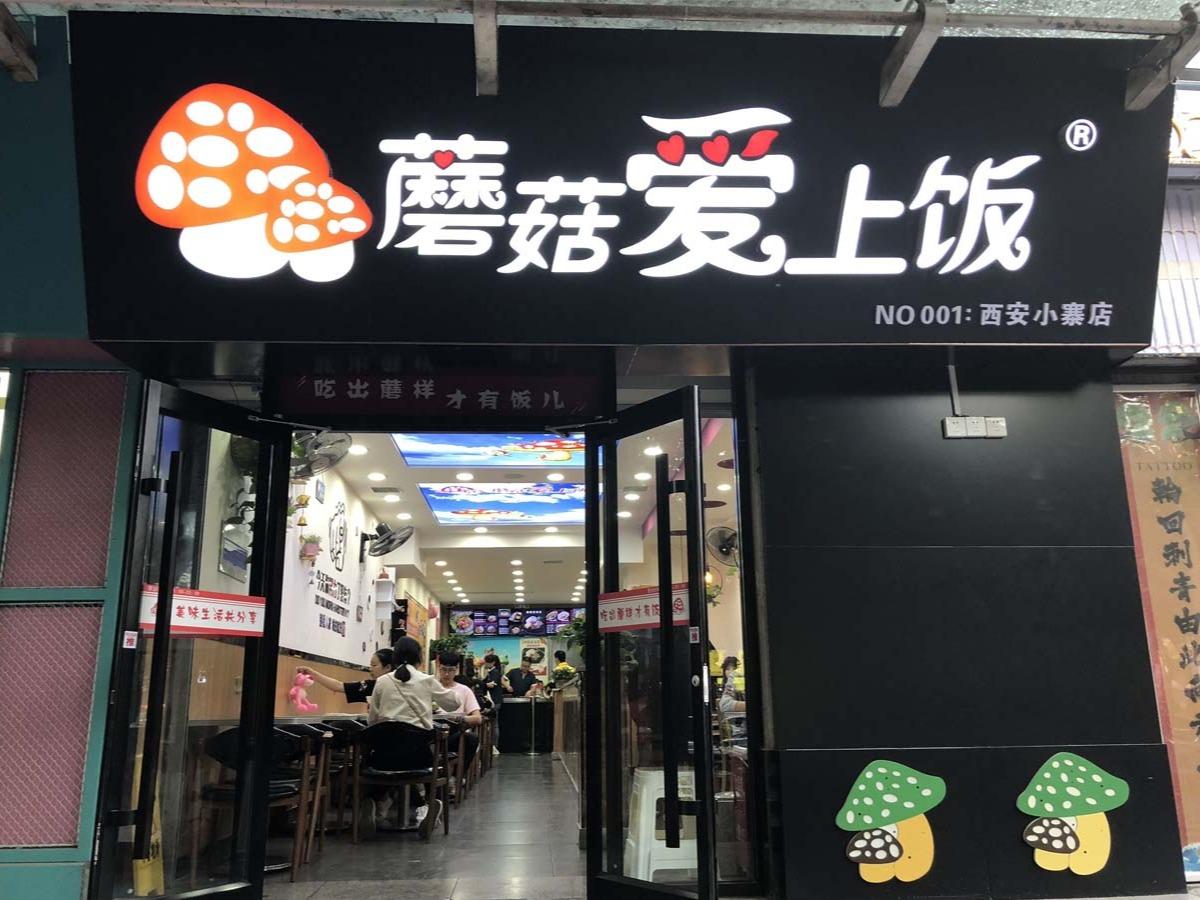 蘑菇爱上饭拌饭