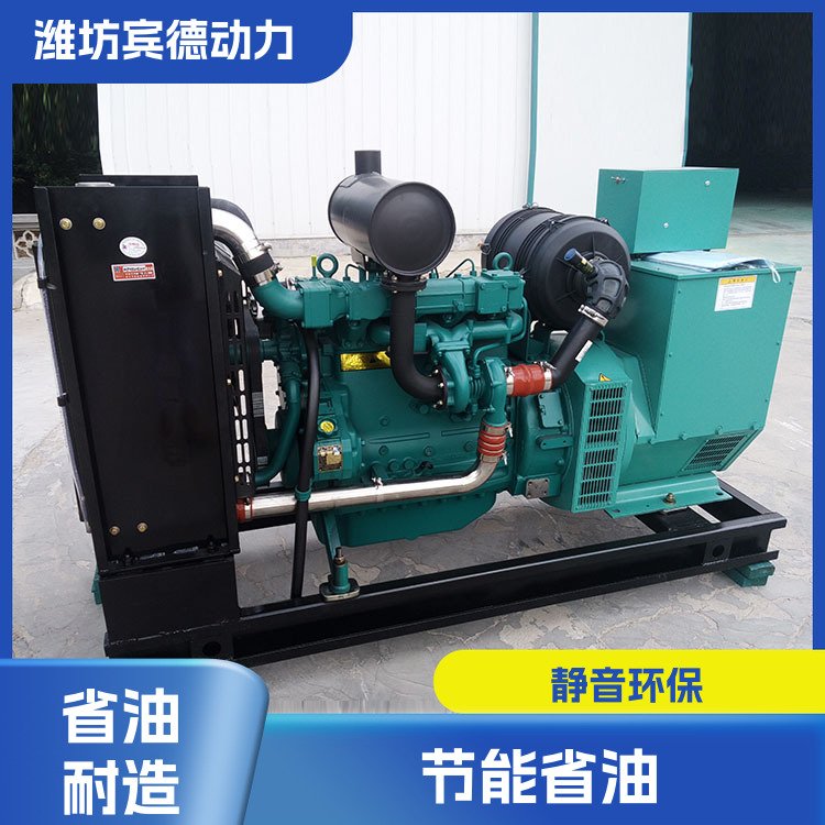 养殖场用柴油发电机组 不间断供电 操作方便 宾德动力