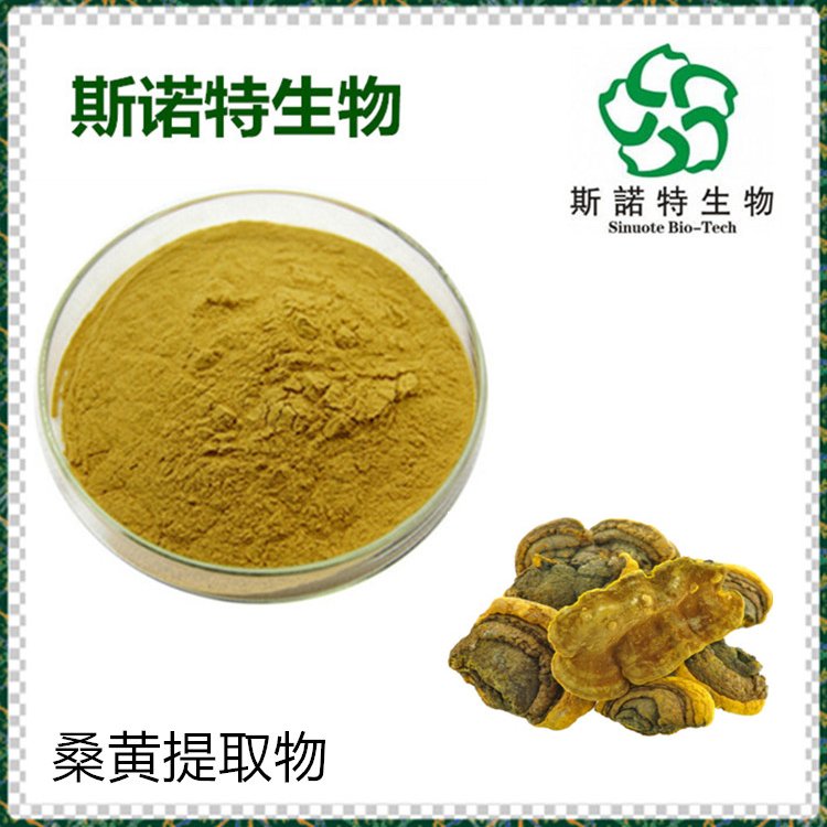 桑黄提取物 菌类浓缩粉 溶于水 规格齐全 扶风斯诺特