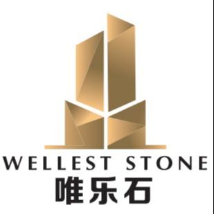 深圳市唯乐思实业发展有限公司