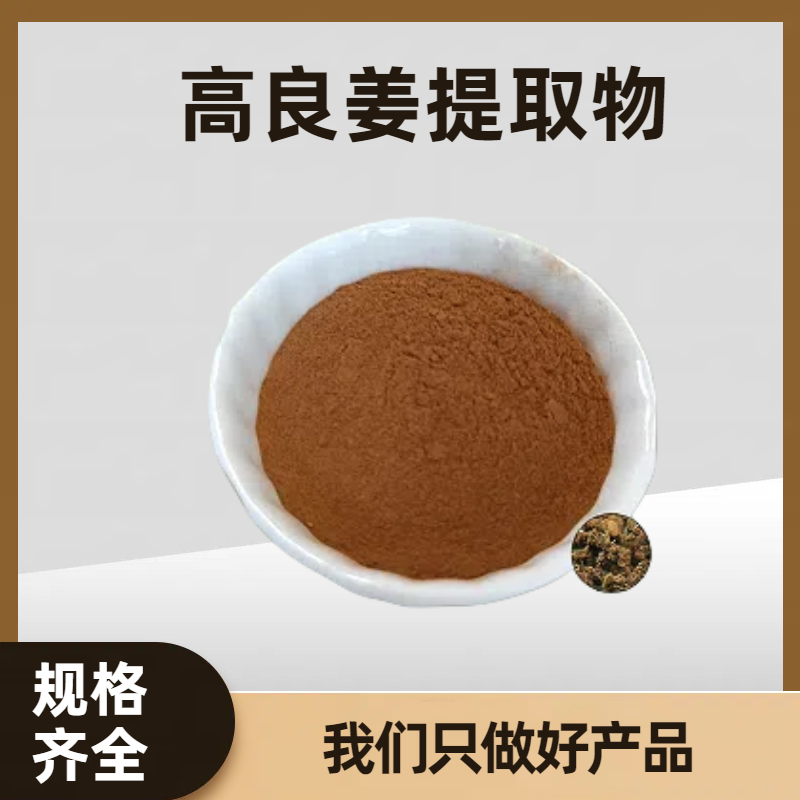 高良姜提取物 浓缩大良姜粉 粉末 溶解性好 可定制