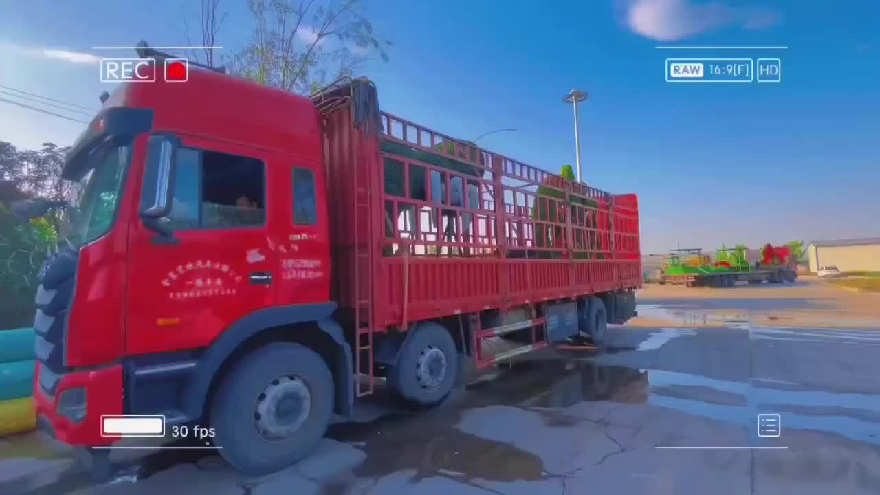 视频