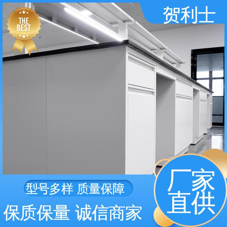 贺利士 全钢实验室台 一站式工程 耐高温 匠心优选 多年经验