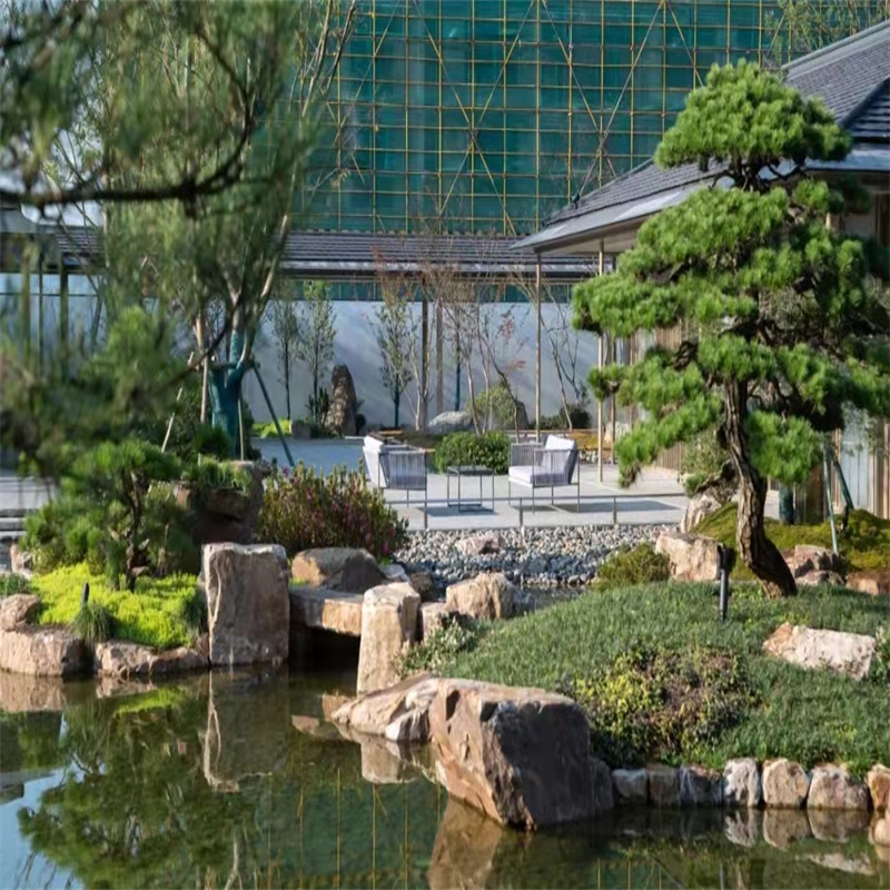 产地直发 天然景观石 桐庐石 天合鹅卵石 日式庭院造景 免费设计