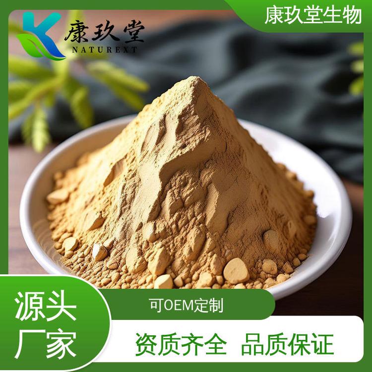 白桦茸提取物 10：1 可OEM 资质齐全 康玖堂 棕色粉末植物提取物
