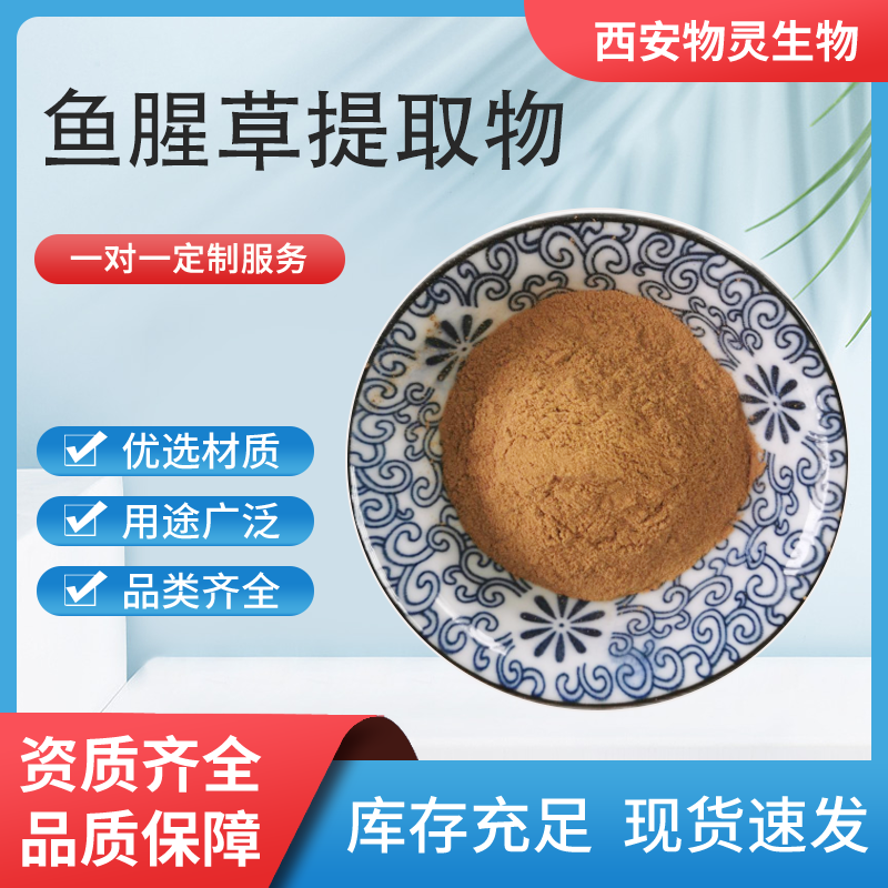 鱼腥草提取物10:1 水溶鱼腥草粉 折耳根浓缩粉 食品原料 物灵生物