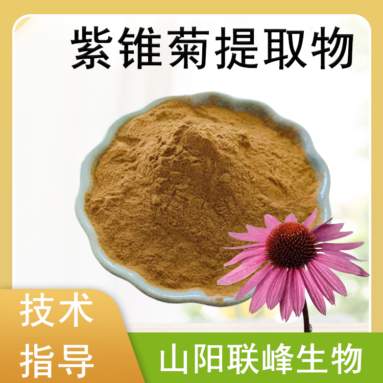 紫锥菊提取物 10:1 水溶浓缩原料粉 紫锥菊多酚 联峰生物 提取物厂家