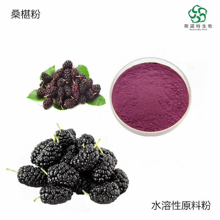 斯诺特 桑椹提取物 花青素丰富 着色剂 紫红色粉末