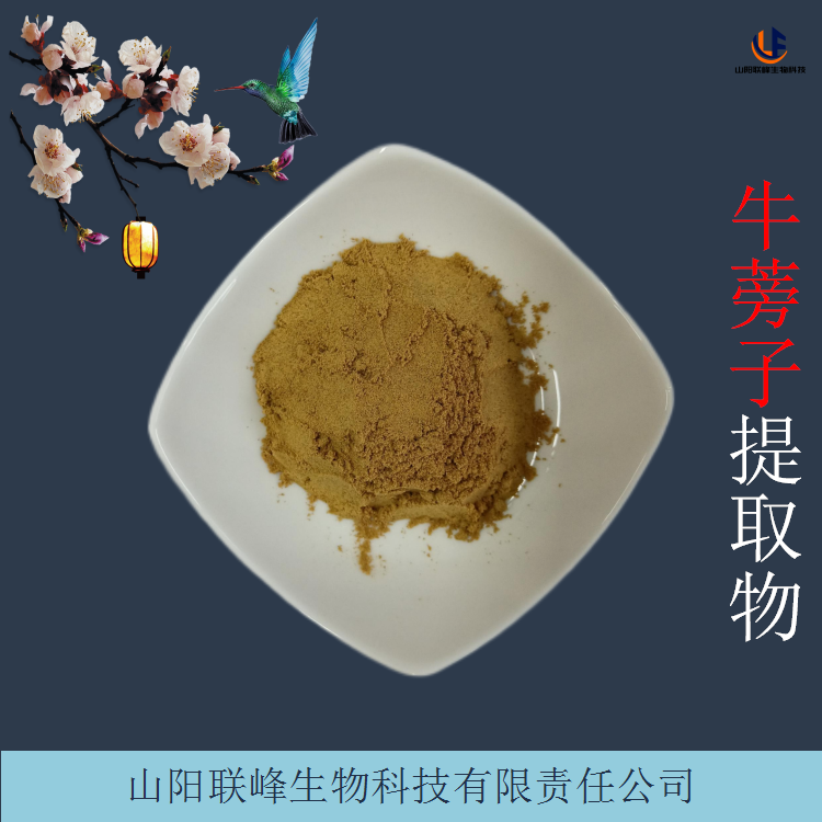 牛蒡子提取物 含牛蒡子甙50% 其他规格支持定制