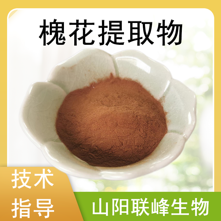 槐花提取物 10：1浓缩粉 槐花粉 植物萃取 食品原料 水溶