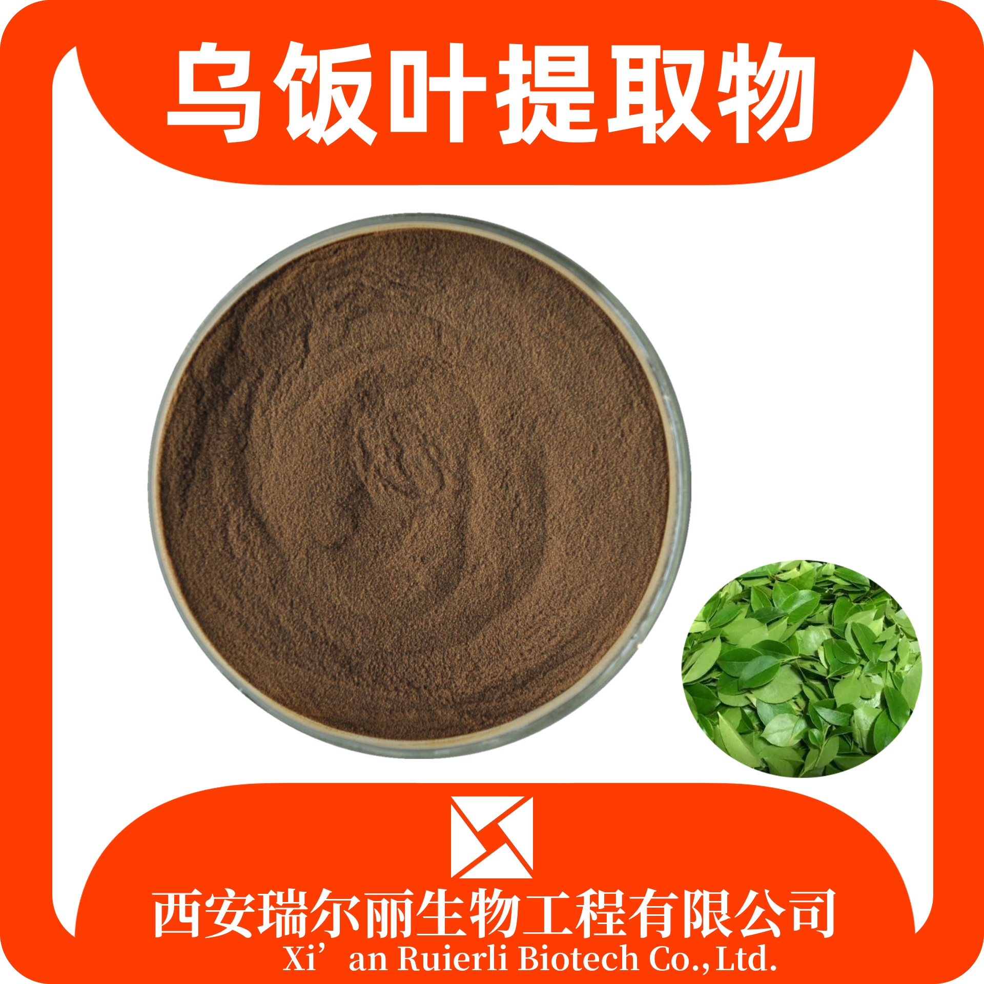 乌饭叶提取物 10:1 速溶乌饭叶粉 水溶浓缩 sc证 瑞尔丽生物