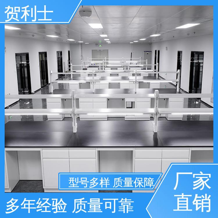 贺利士 科研院校制药 耐高温 全钢实验室 规模生产 支持定制