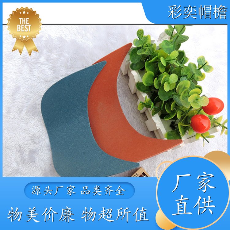 彩奕帽檐批发 pe塑料片帽沿材料 遮颜挂纱 成人帽子配件 加工定制