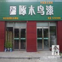 啄木鸟健康漆