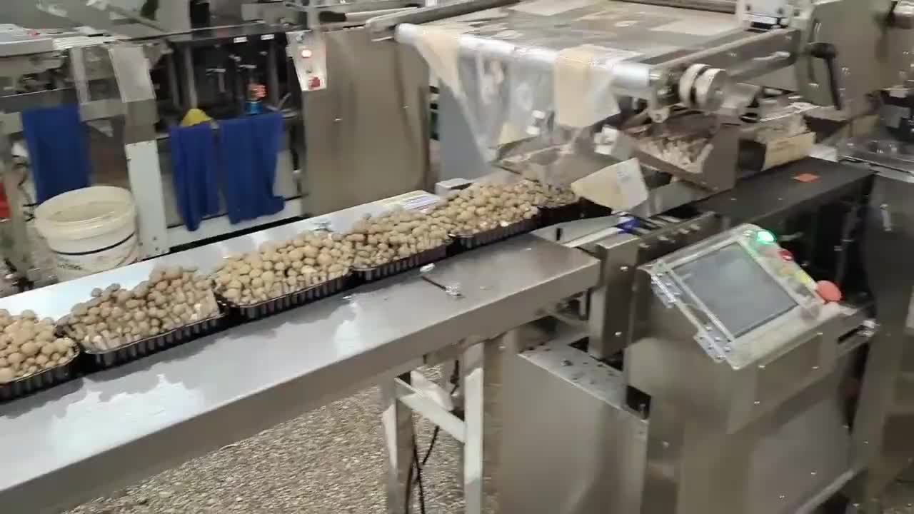 视频