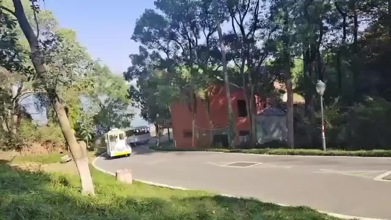 视频