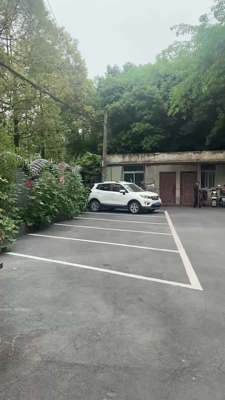 视频